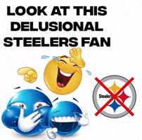 Pittsburgh Steelers GIF