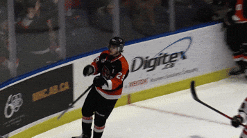 Hockey Tiger GIF by Medicine Hat Tigers