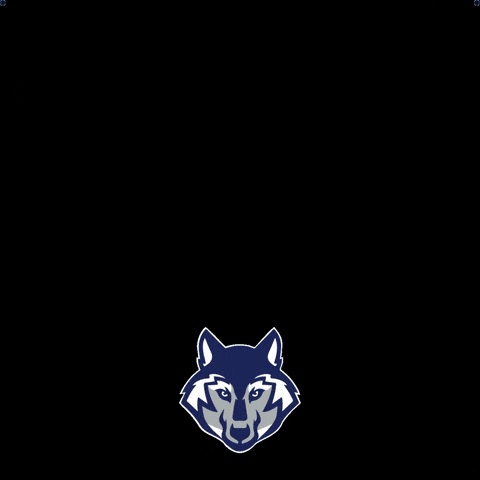 SFES GIF