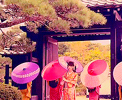 200.gif?cid=fc005b08a977c5f8006a4f6f2f73efb20560c913a1ab1537&rid=200.gif&ct=g