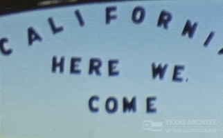 Road Trip Car GIF by Texas Archive of the Moving Image