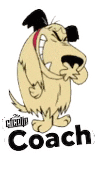 CFCELJE Sticker