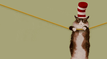 Dr Seuss Cat GIF by Nebraska Humane Society