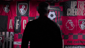 GIF by AFC Bournemouth