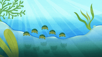Lets Go Swimming GIF by Mother Goose Club