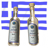 Greek Flag Cheers GIF