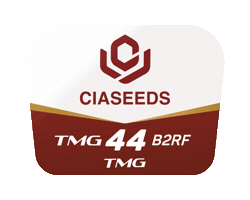Tmg Sticker by Ciaseeds
