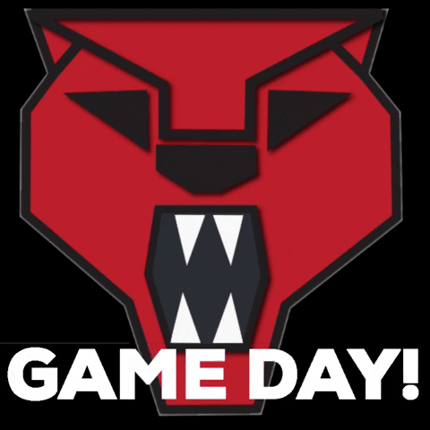 DPSschools gameday game day dps dhs GIF