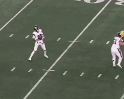 Green Bay Packers GIF