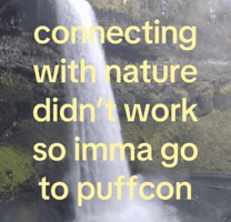 Peak Pivot GIF