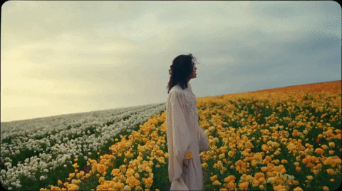 Yours GIF by Conan Gray - Find & Share on GIPHY