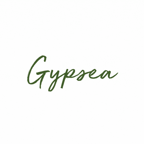Gypsea Agency GIF