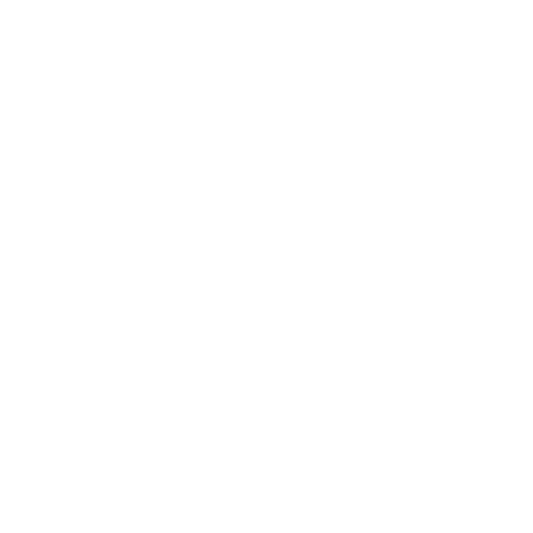 Dance Festival Sticker by RealMusic Events