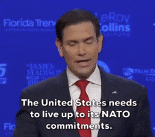Marco Rubio Florida GIF by GIPHY News