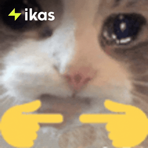 Awkward Cat GIF by ikas