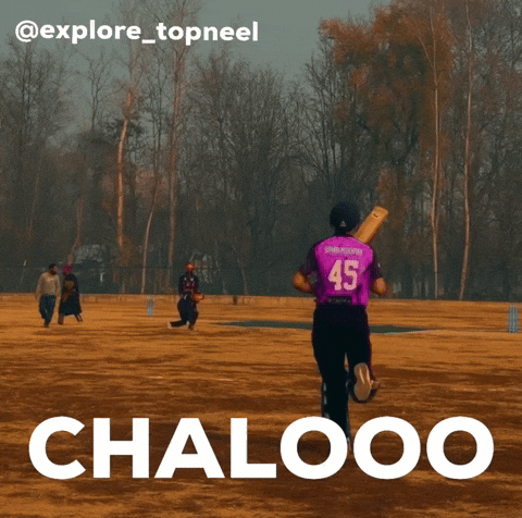 India GIF
