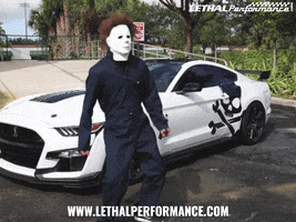 Auto Parts Mustang GIF by TeamLethal