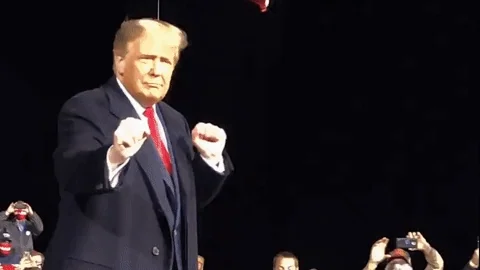 Happy Donald Trump GIF
