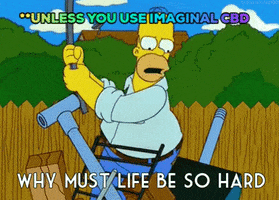 Angry Simpsons GIF by Imaginal Biotech