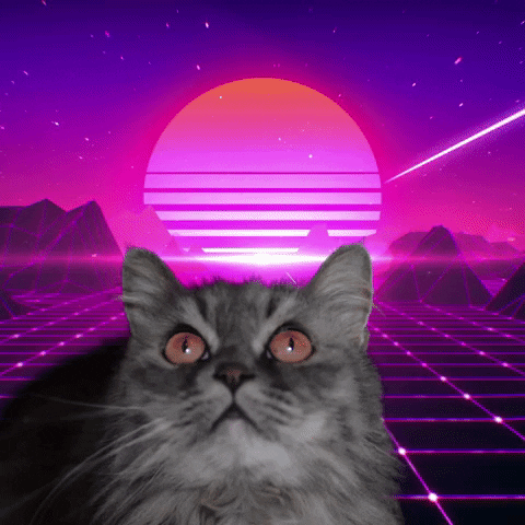 Cat Space GIF