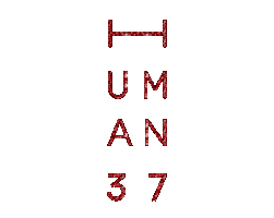 H37 Sticker by glennterprise