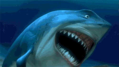 Finding Nemo Lol GIF - Find & Share on GIPHY