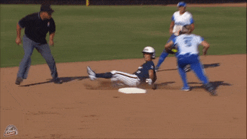 National Pro Fastpitch Softball GIF by USSSA Pride