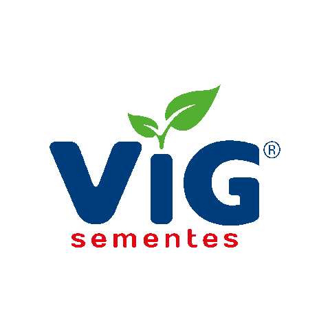 Vig Sementes Sticker