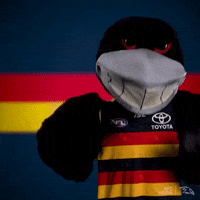 adelaidecrows-2019-afl-adelaide-crows-u46hlGQUdqLS4b40VK