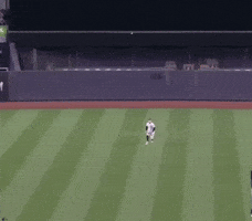 Error Judge GIF by Billy Jensen