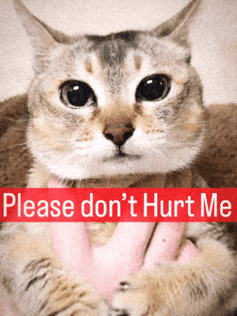 Mei Mei GIF