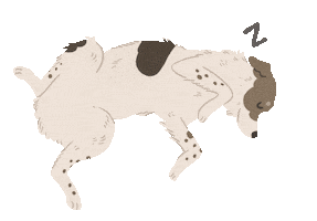 Animated Sticker