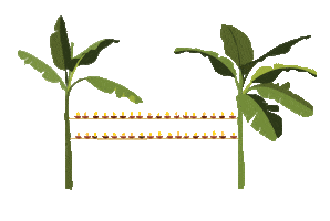 Diwali Assam Sticker by NEST by Arpit Agarwal