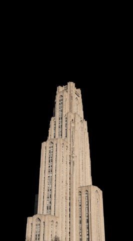 pittadmission happy college pittsburgh panthers GIF