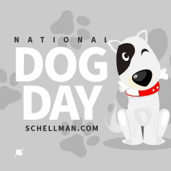 Happy Dog Day GIF by Schellman