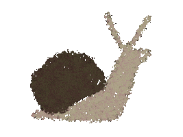 Garden Sticker