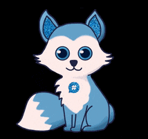 Flowbox GIF
