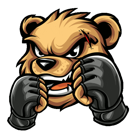 Fight Mma Sticker by srodowiskomiejskie