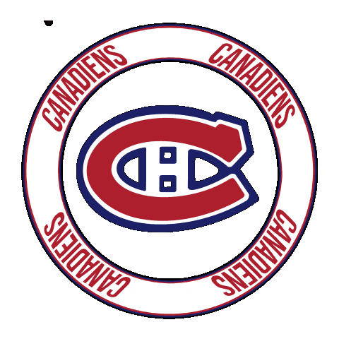 Hockey Nhl Sticker