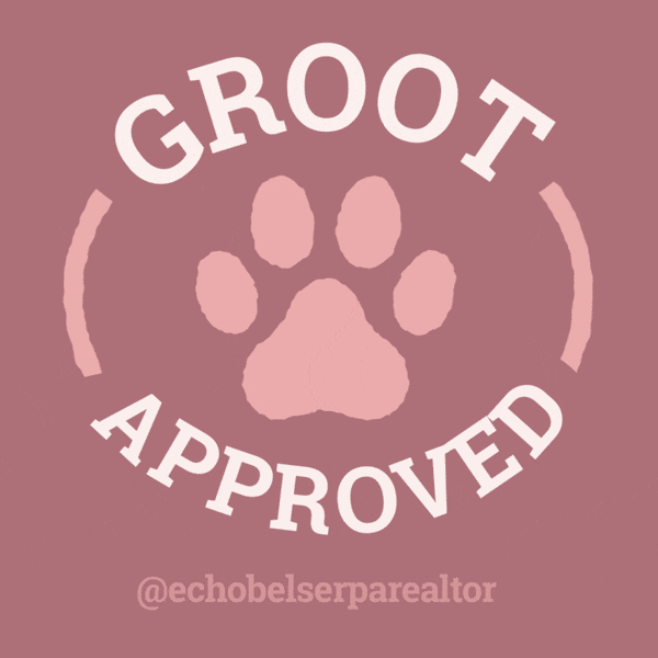 Echo Belser GIF