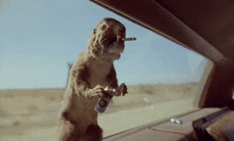 Beer GIF