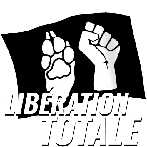 Liberation Sticker by ProjetMeduses