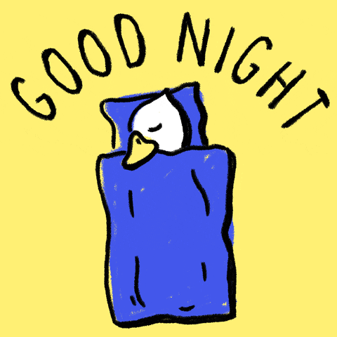 Cartoon gif. We look straight down at a goose as it sleeps with only it's head visible, sticking out from under the blanket. Text, "Good night."