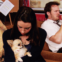 Parks And Recreation Dog GIF - Find & Share on GIPHY