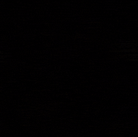 Daniel Bryan Wwe GIF