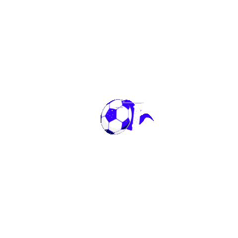 Soccer Futbol Sticker by Ford Latino