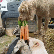 Почему парни такие стали