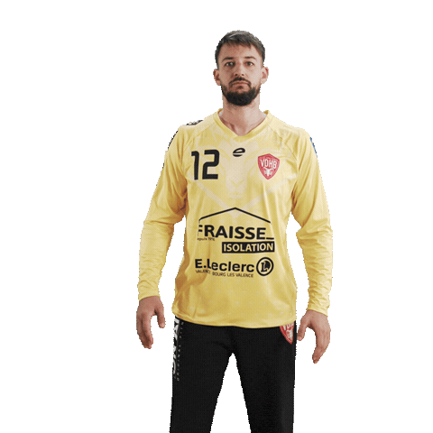 Sven Sticker by Valence Drôme Handball