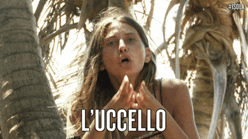 Canale 5 Reality GIF by Isola dei Famosi