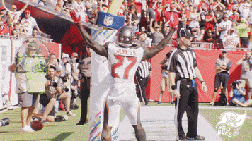 touchdown celebrate GIF by Tampa Bay Buccaneers